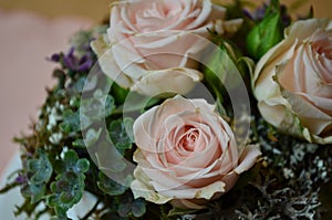 Floral arrangement and decoration. Three bright roses with moss and green leaves close-up. floral design