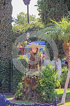 Floral arrangement in the downtown park.