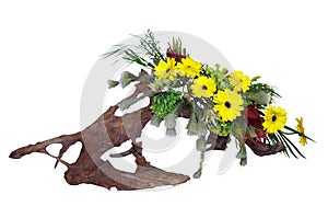 Floral Arrangement on Driftwood