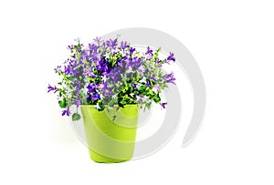 Floral Arrangement in Green Vase Isolated on White Background -