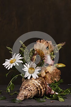 Floral arrangement with irises and daisies in a shell