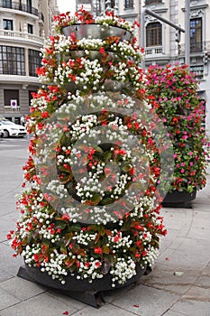 Floral Arrangement from Plaza de Cortez Square of Madrid City. Spain.