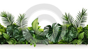 floral arrangement of tropical leaves of plants bush. nature background isolated on white background with copy space