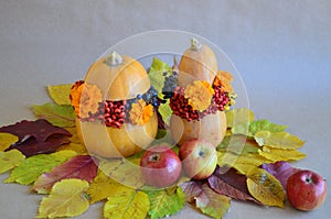 Floral arrangements and decoration. Pumpkin, apple. Autumn bright flower arrangement in a pumpkin