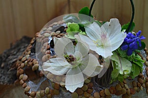 Floral arrangements and decorations. Beautiful hellebore flower close-up on a background of flowers. flower, hellebore, hellebore