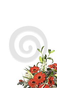 Floral Background