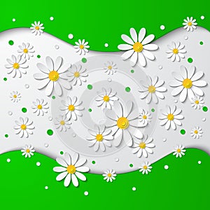 Floral background with 3d chamomiles