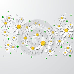 Floral background with 3d chamomiles and dots