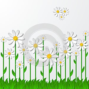 Floral background with 3d chamomiles on the grass