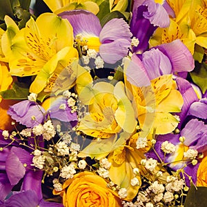 Floral background with Alstroemeria and iris flowers