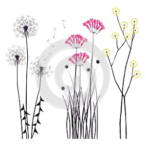 Floral background, blooming flowers