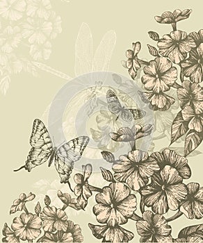 Floral background with blooming phlox and flying b