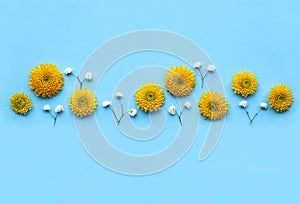 Floral background with a border of yellow and white blossoms