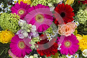 floral background - bouquet of colorful flowers