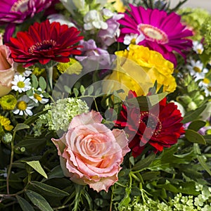 floral background - bouquet of colorful flowers