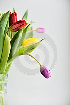 Floral background: bouquet of multicolored tulips in a glass vase on a light background, blank, mocap for mother`s day