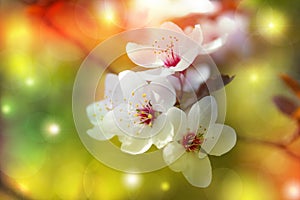 Floral background - cherry blossom, colorful, magical, fantasy
