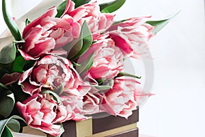 Floral background with copy space. Flowers in bloom. Close-up beautiful bouquet of tulips. Spring concept. Floral greeting card