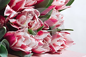 Floral background with copy space. Flowers in bloom. Close-up beautiful bouquet of tulips. Spring concept. Floral greeting card