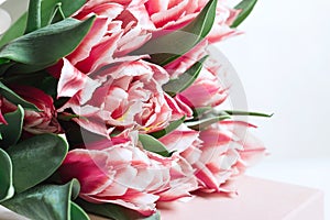 Floral background with copy space. Flowers in bloom. Close-up beautiful bouquet of tulips. Spring concept. Floral greeting card.