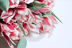 Floral background with copy space. Flowers in bloom. Close-up beautiful bouquet of  tulips. Spring concept. Floral greeting card.