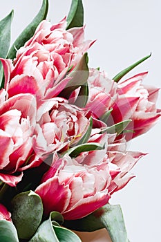 Floral background with copy space. Flowers in bloom. Close up details of tulips. A bunch of pink tulips.Floral greeting card.