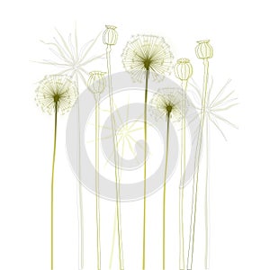 Floral background, dandelion. The meadow in summer