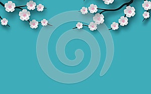 Floral background decorated blooming cherry flowers branch, bright blue backdrop for spring time season design. Banner, poster