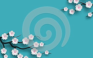 Floral background decorated blooming cherry flowers branch, bright blue backdrop for spring time season design. Banner, poster