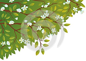 Floral background decorated blooming white flowers branch decorative backdrop for spring time season
