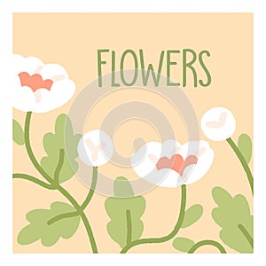 Floral background design. Summer flowers card. Spring blooms, leaves, gentle meadow blossom, delicate fragile