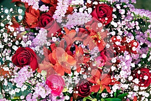 Floral background with different flowers