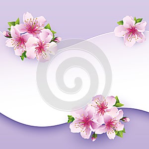 Floral background, greeting card with flower sakur