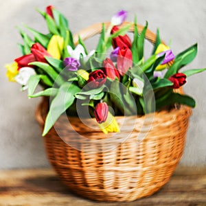 Floral background, greeting card, harvesting, mocap for greetings for mother`s day, international women`s day: bouquet