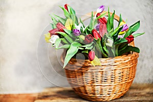 Floral background, greeting card, harvesting, mocap for greetings for mother`s day, international women`s day: bouquet