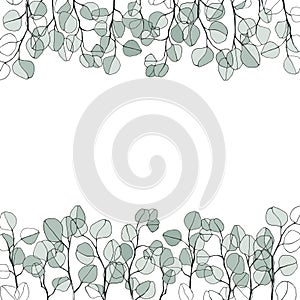Floral background with hand-drawn branches of silver eucalyptus. Vector illustration with  place for text on white background. Inv