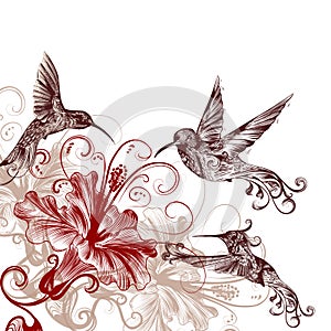 Floral background with hummingbirds and hibiscus flowers photo