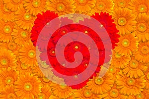 Floral background with orange gerberas