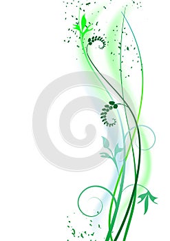 Floral background, ornament