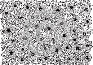 Floral background pattern - coloring page with flowers