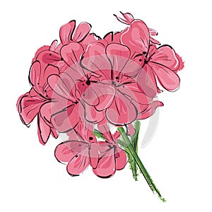 Floral background. Pink flower branch