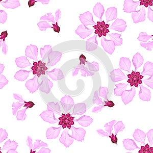 Floral background. Pink flowers isolated on white. Botanical seamless pattern.