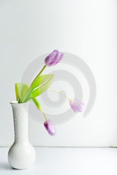 Floral Background, postcard: Tulip flower in white vase on white background. Layout, mocap, for your text mother's day, copyspace