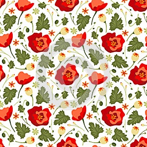 Floral background. Red poppy vector. Summer seamless pattern