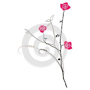 Floral background roses. Isolated on white.Designers elements