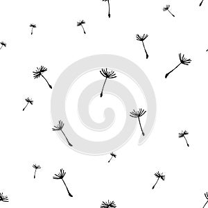 Floral background seamless pattern black and white with dandelion fluff silhouette. Beautiful nature backdrop. Trendy