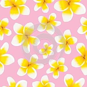 Floral background seamless pattern yellow plumeria