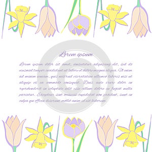 Floral background with spring flowers