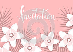 Floral background with tropical plumeria flowers