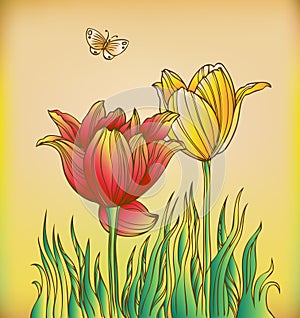 Floral background with tulips and butterfly